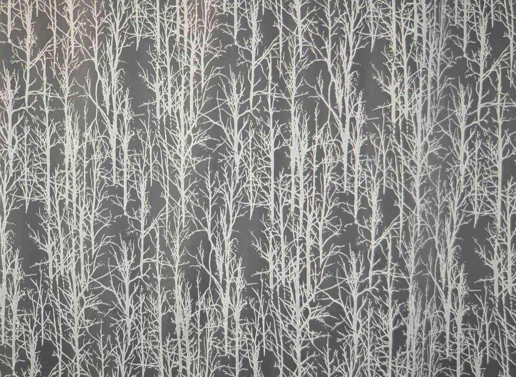 Dévorant LIPARI 25
Dévorant LIPARI 25